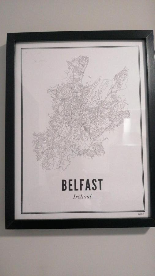 Maire Toireasa - Cosy Refurbished Property In The Gaeltacht Quarter Belfast Exteriör bild